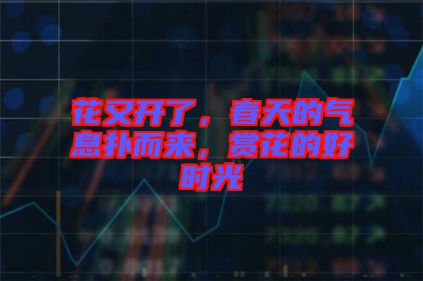 花又開了，春天的氣息撲而來，賞花的好時光