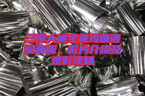 三傻大鬧寶萊塢國語配音版,影片介紹及觀影須知