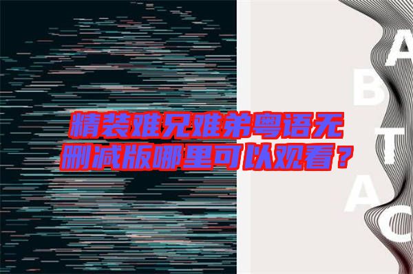 精裝難兄難弟粵語無刪減版哪里可以觀看？