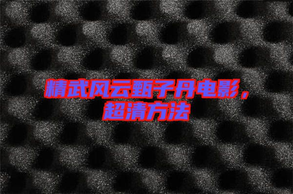 精武風(fēng)云甄子丹電影,超清方法