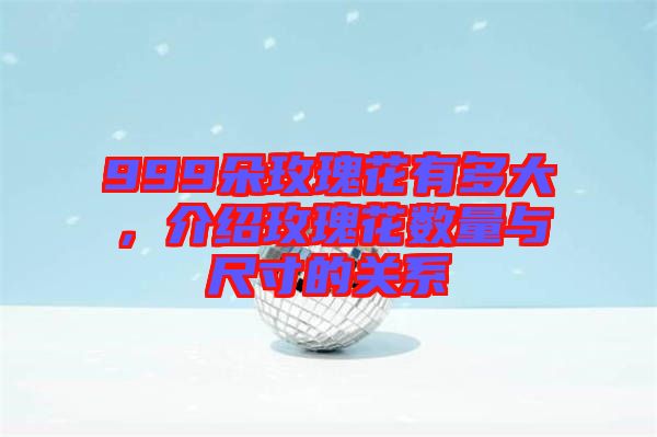 999朵玫瑰花有多大,介紹玫瑰花數量與尺寸的關系