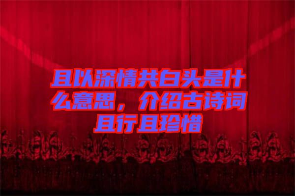 且以深情共白頭是什么意思,介紹古詩詞且行且珍惜
