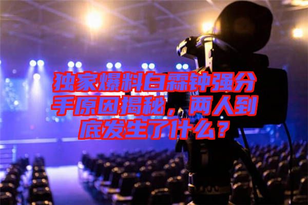 獨(dú)家爆料白霖鐘強(qiáng)分手原因揭秘,兩人到底發(fā)生了什么?