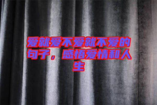 愛(ài)就愛(ài)不愛(ài)就不愛(ài)的句子，感悟愛(ài)情和人生