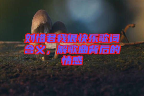 劉惜君我很快樂歌詞含義，解歌曲背后的情感