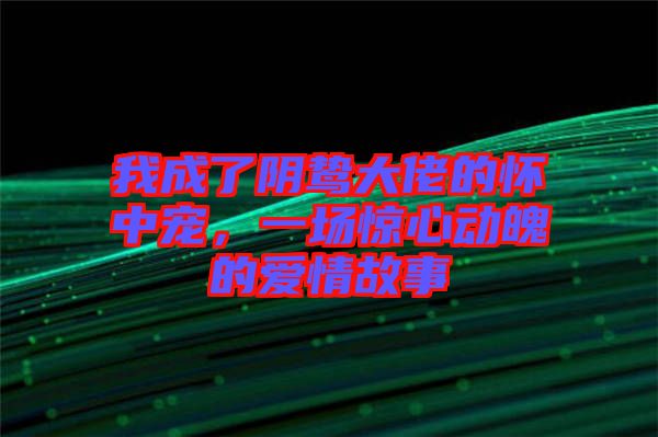 我成了陰鷙大佬的懷中寵，一場驚心動魄的愛情故事