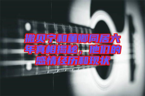 撒貝寧和董卿同居六年真相揭秘,他們的感情經(jīng)歷和現(xiàn)狀
