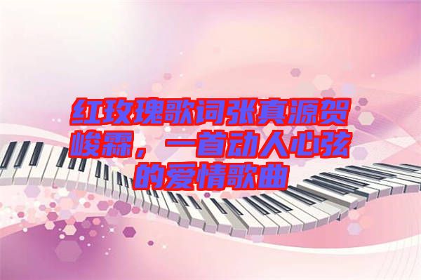 紅玫瑰歌詞張真源賀峻霖，一首動人心弦的愛情歌曲