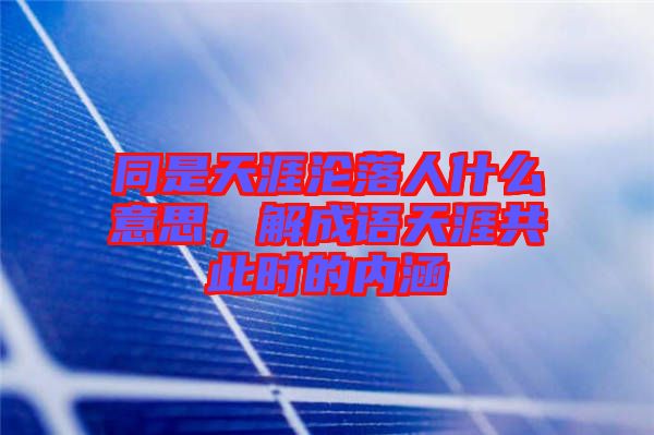 同是天涯淪落人什么意思，解成語天涯共此時(shí)的內(nèi)涵
