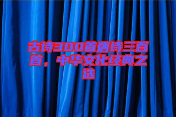 古詩300首唐詩三百首,中華文化經(jīng)典之選