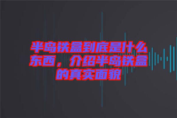 半島鐵盒到底是什么東西,介紹半島鐵盒的真實面貌