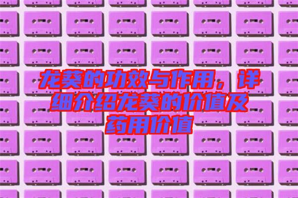 龍葵的功效與作用,詳細介紹龍葵的價值及藥用價值