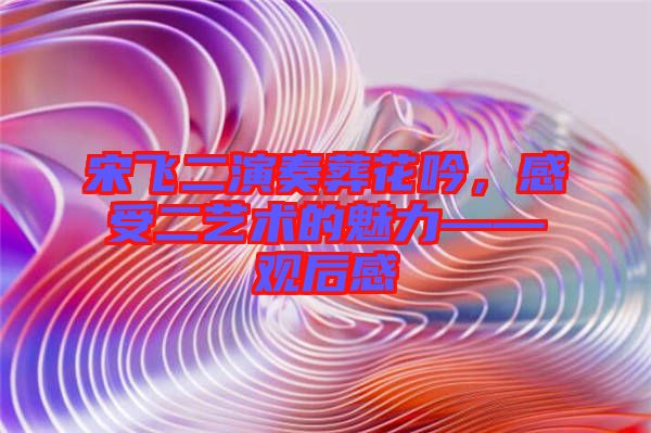 宋飛二演奏葬花吟，感受二藝術(shù)的魅力——觀后感