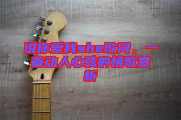說你愛我she歌詞，一首動人心弦的情歌賞析