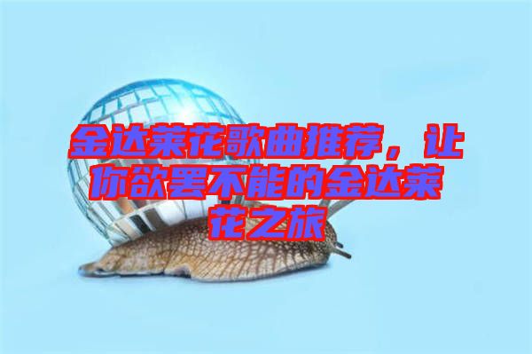 金達(dá)萊花歌曲推薦,讓你欲罷不能的金達(dá)萊花之旅