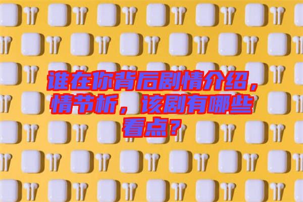 誰(shuí)在你背后劇情介紹，情節(jié)析，該劇有哪些看點(diǎn)？