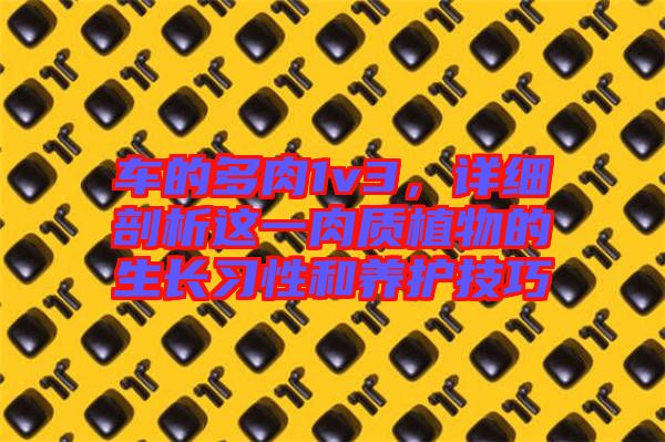 車的多肉1v3,詳細剖析這一肉質(zhì)植物的生長習(xí)性和養(yǎng)護技巧