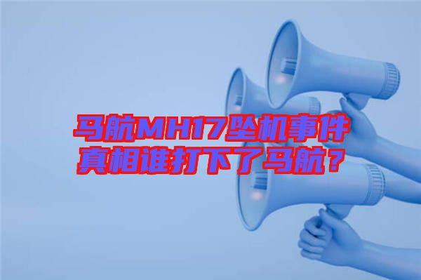 馬航MH17墜機(jī)事件真相誰(shuí)打下了馬航?