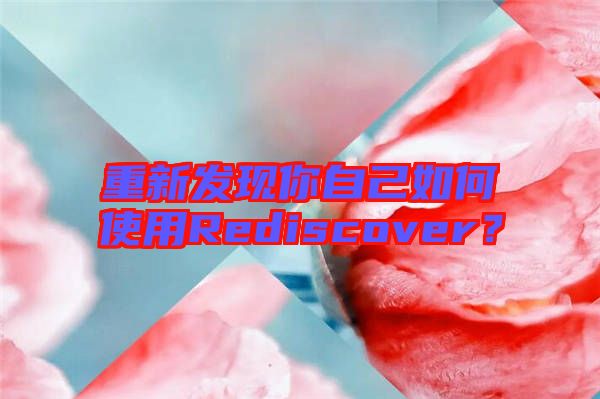 重新發(fā)現(xiàn)你自己如何使用Rediscover?