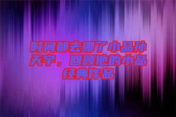 時間都去哪了小品孫天宇,回顧他的小品經(jīng)典作品