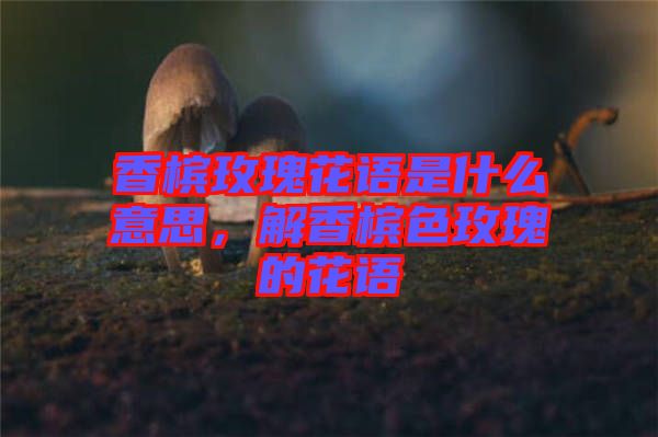 香檳玫瑰花語是什么意思，解香檳色玫瑰的花語