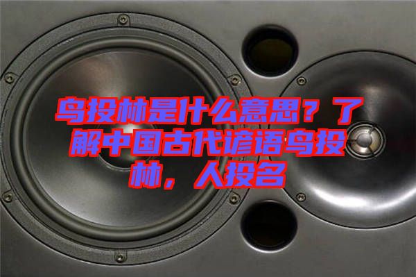 鳥投林是什么意思？了解中國古代諺語鳥投林，人投名