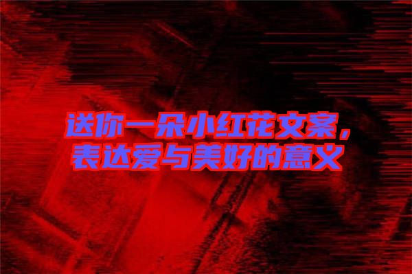 送你一朵小紅花文案,表達(dá)愛與美好的意義