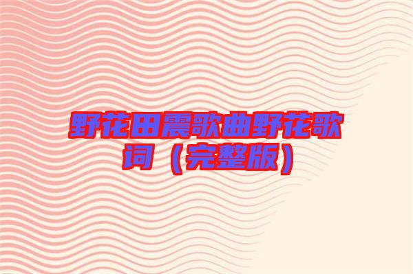 野花田震歌曲野花歌詞(完整版)