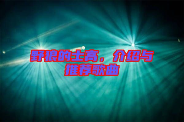 野狼的士高，介紹與推薦歌曲