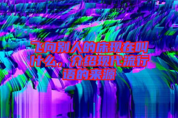 飛向別人的床現(xiàn)在叫什么,介紹現(xiàn)代流行語的來源
