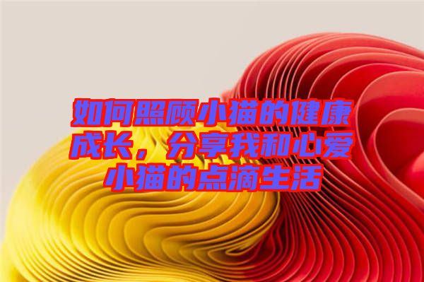 如何照顧小貓的健康成長(zhǎng),分享我和心愛(ài)小貓的點(diǎn)滴生活