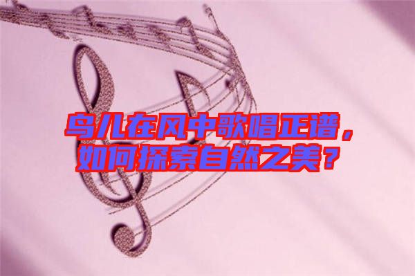 鳥(niǎo)兒在風(fēng)中歌唱正譜，如何探索自然之美？