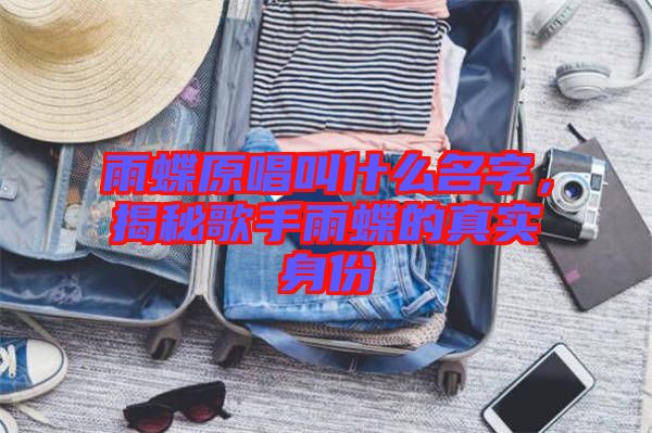 雨蝶原唱叫什么名字,揭秘歌手雨蝶的真實(shí)身份