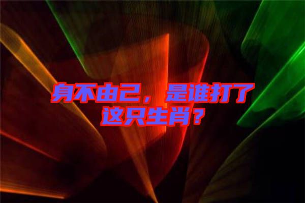 身不由己，是誰打了這只生肖？