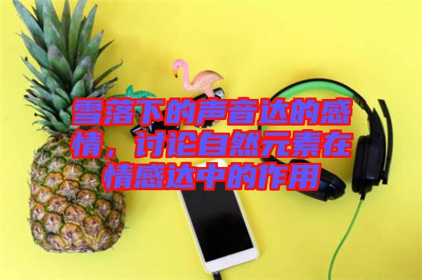 雪落下的聲音達的感情,討論自然元素在情感達中的作用