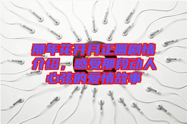 那年花開月正圓劇情介紹,感受那段動人心弦的愛情故事