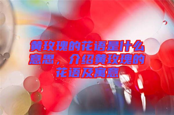 黃玫瑰的花語是什么意思，介紹黃玫瑰的花語及寓意