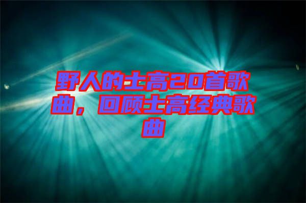 野人的士高20首歌曲，回顧士高經典歌曲