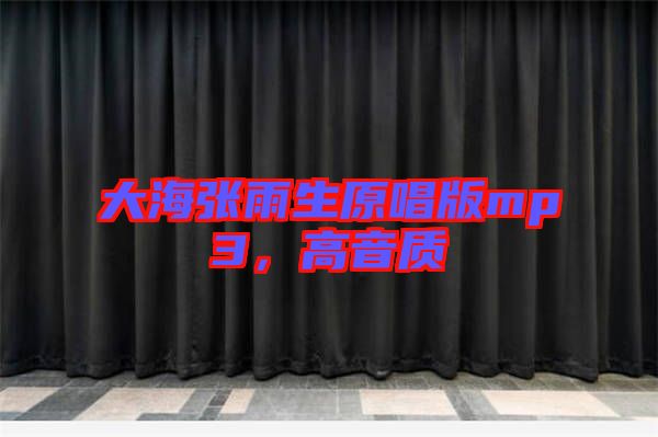 大海張雨生原唱版mp3，高音質